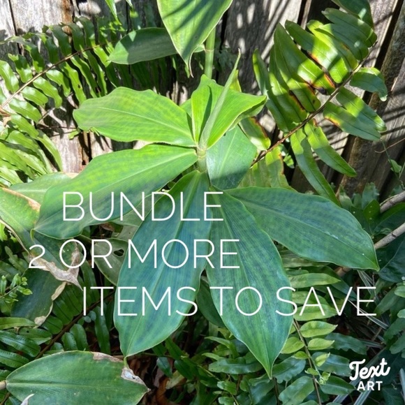 A BUNDLE = 2 or more items - Picture 6 of 16